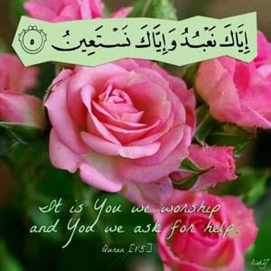 Meet your Posher, Hanaa